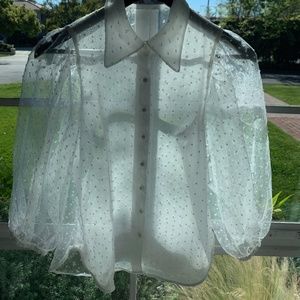 White Organza Blouse